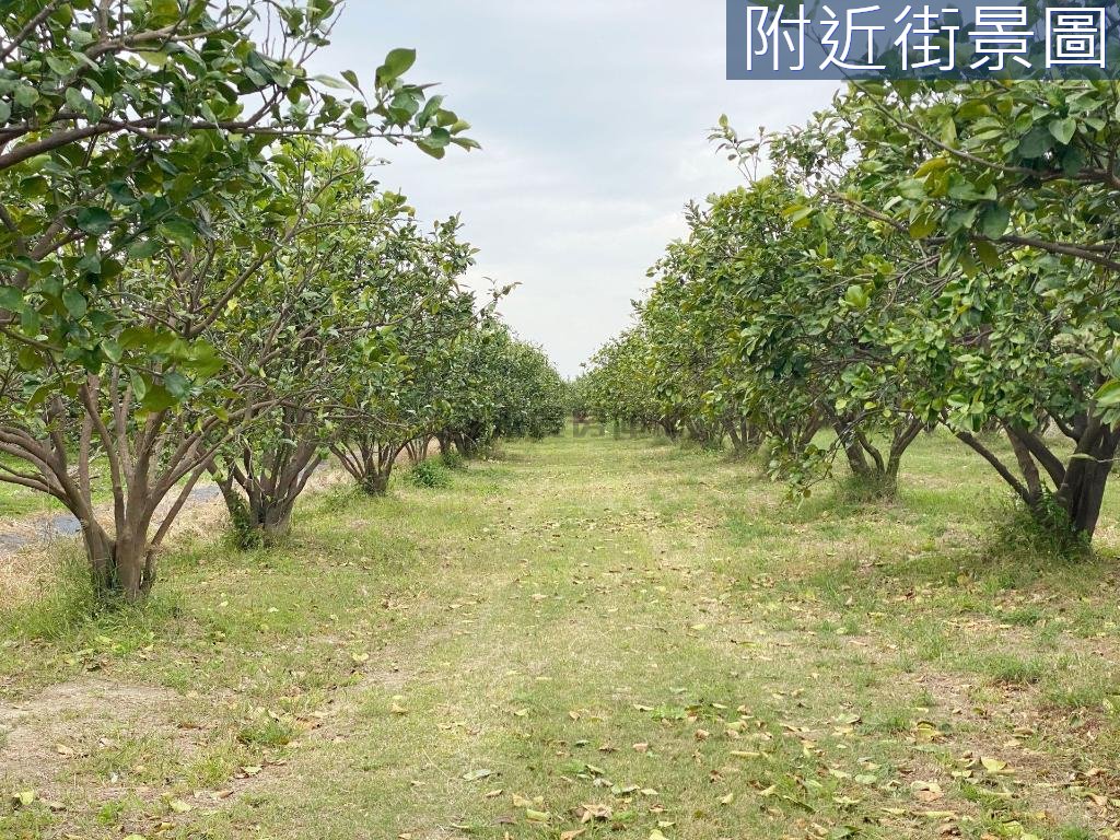 台南房源照片 1